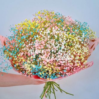 Букет из 25 веток цветных гипсофил