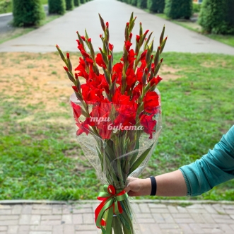 buket-iz-11-krasnyh-gladiolusov